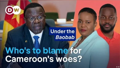 Who's to blame for Cameroon's woes?