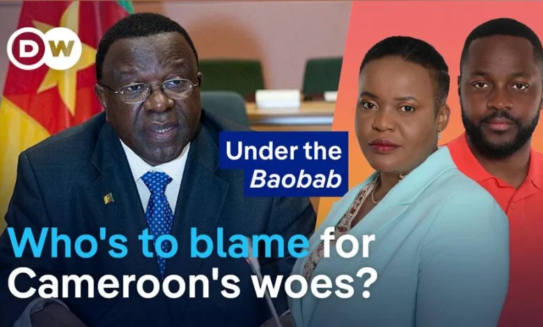 Who's to blame for Cameroon's woes?