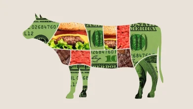 Why Beef Prices Are High: Fewer Cattle, Soaring Protein Demand