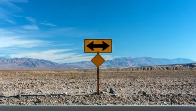 Why Brent and WTI Crude Price Movements Are Diverging Today