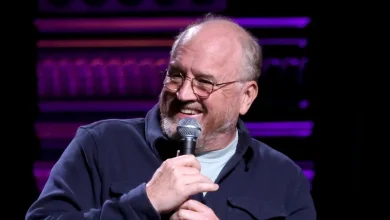 Why Did Netflix Book Louis C.K. for Netflix Is a Joke?