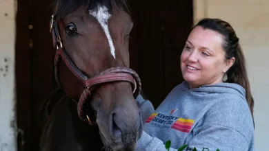 Will Kentucky Derby winner Golden Tempo run in Preakness Stakes 2026?