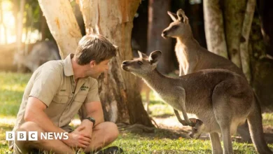 William, Catherine and children name baby kangaroo at Australia Zoo