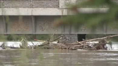 With days of heavy rain in the forecast, southern Alberta prepares for flooding
