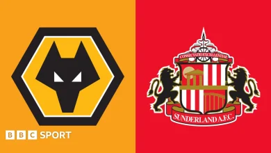 Wolverhampton Wanderers vs Sunderland: Premier League preview, team news, stats & head-to-head