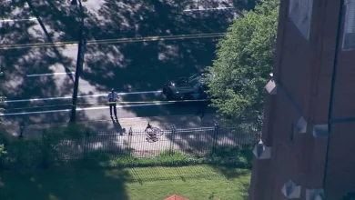 Woman killed in Atlanta Beltline stabbing identified