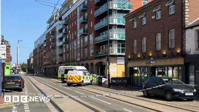 Woman killed in shooting outside Sheffield bar