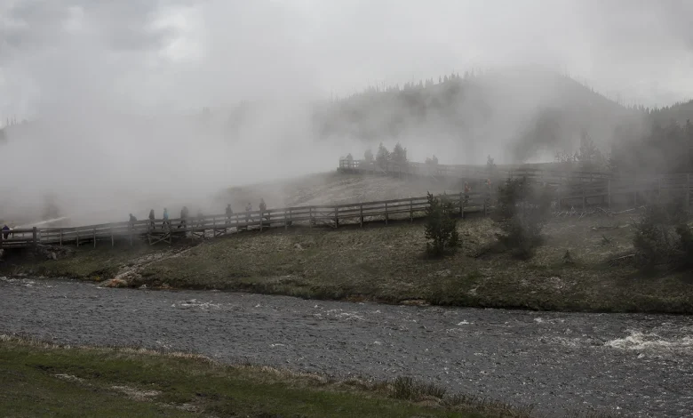 Yellowstone grizzly bear attack site was closed to spring hiking until 2024 to reduce human-grizzly conflicts