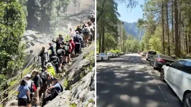 Yosemite National Park's reservation system ends, leading to 'chaos' in park over Memorial Day weekend