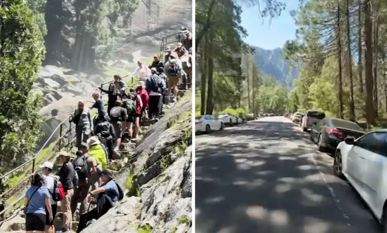 Yosemite National Park's reservation system ends, leading to 'chaos' in park over Memorial Day weekend