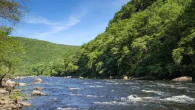 Young boy killed in freak accident while whitewater rafting on field trip to the Poconos