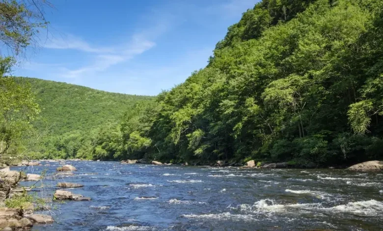 Young boy killed in freak accident while whitewater rafting on field trip to the Poconos