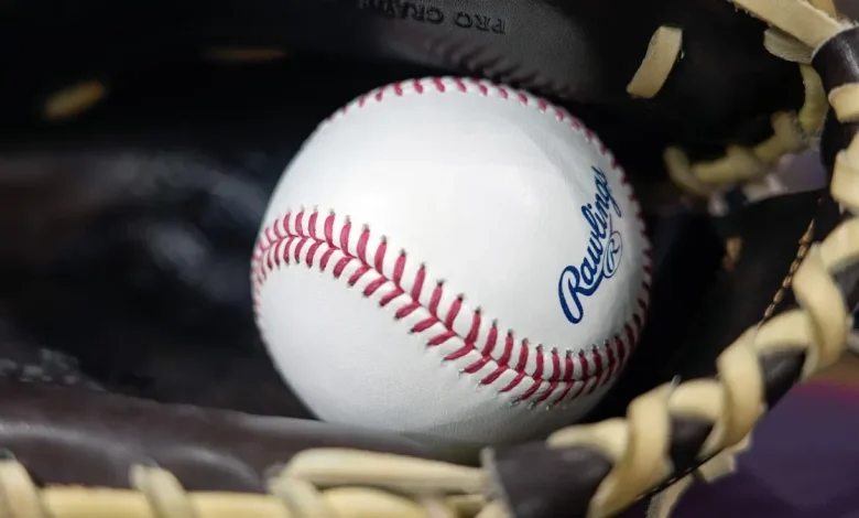 Youth baseball coach gets lifetime ban for viral incident