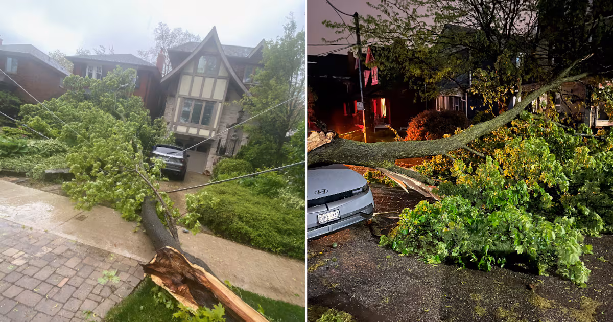 ‘672 emergency incidents’: Cleanup underway following Toronto’s severe rain storm