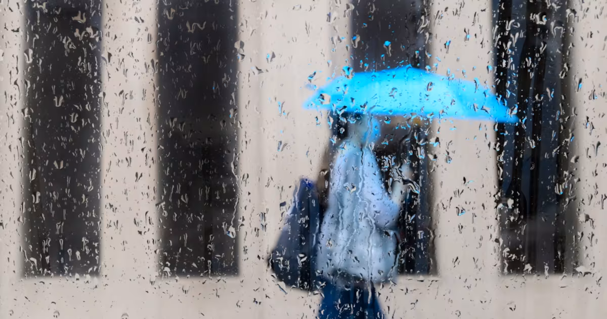 ‘Cool, wet, windy’: Heavy rainfall, strong winds expected in the GTA this weekend