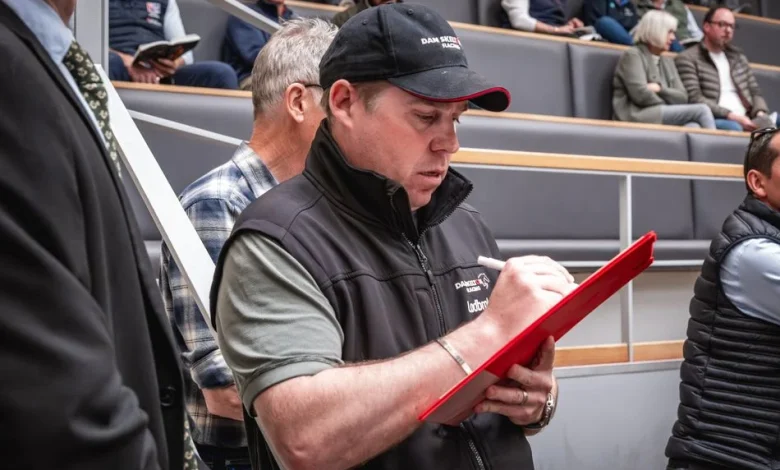 ‘We’ve bought with Martin Pipe’s record in mind’ - Dan Skelton chasing history with bold sales ring strategy