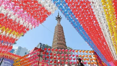 [날씨] 부처님오신날 전국 맑고 나들이에 최적…제주는 흐림