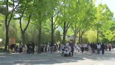[날씨] 어린이날 반기는 쾌청한 날씨...서울대공원 '북적'