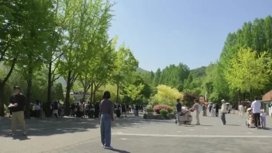 [날씨] 화창한 어린이날, 대공원 가족나들이...강한 자외선 조심하세요