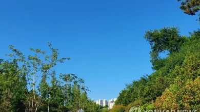 [내일날씨] 전국 대체로 맑고 더워…서울 낮 최고 31도