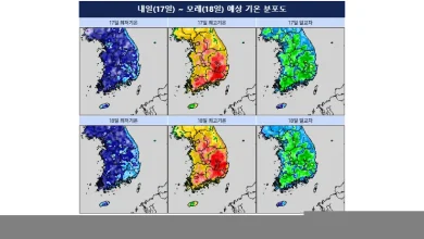 [내일의 날씨] 낮 최고 34도·내륙 15도 안팎 큰 일교차…서해·제주 해상 안개 주의
