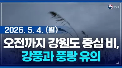 오늘 오전까지 강원도 중심 비... 바람 강하고 매우 높은 물결 일어 (26년 5월 4일 05시 기준)