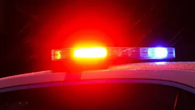 1 person dead after being hit by vehicle during fight in Toronto: police