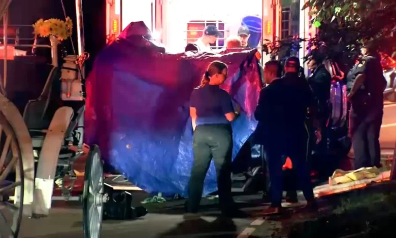 16-year-old carriage horse collapses, dies in Central Park