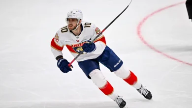 Three NHL Free Agent Destinations For Panthers' A.J. Greer