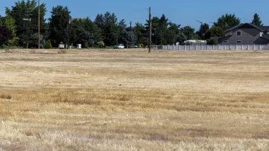 200+ apartments eyed on Eagle Road in Meridian. What to know