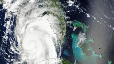 2026 Atlantic hurricane season begins: A strong El Niño could bring fewer storms » Yale Climate Connections