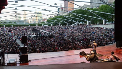 27 Things To Do In Chicago This Weekend: Blues Fest, Art Fairs And Summer Kickoff