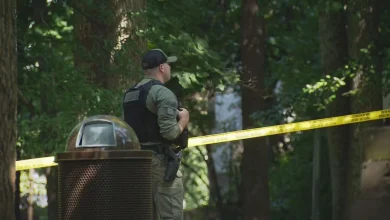 3 dead after small plane crashes at public park in Maryland