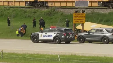 4 students taken to hospital after school bus crashes into ditch in Edmonton
