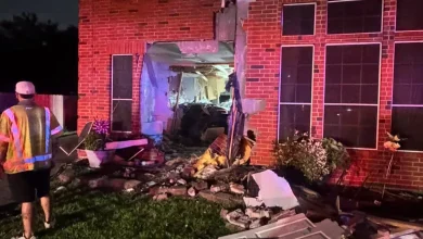 76-year-old woman killed when a Tesla ‘running on auto-pilot’ crashed into her Texas home