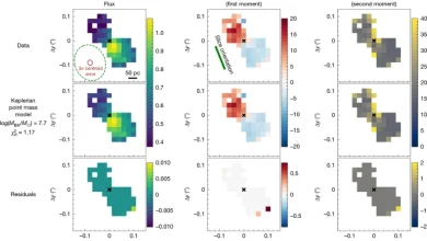A direct black-hole mass measurement in a little red dot at high redshift
