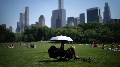 A heat wave is expected across much of the U.S. this week : NPR