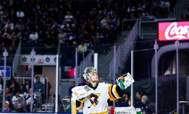 AHL Morning Skate: June 3, 2026
