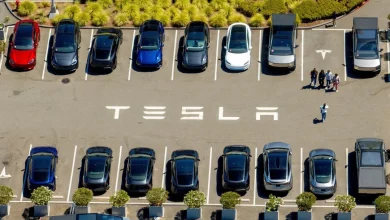 After Tesla Fatally Crashes Into Home, Outrage on Capitol Hill