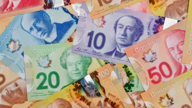 All it Takes Is $3,000 in Telus to Generate Hundreds in Passive Income