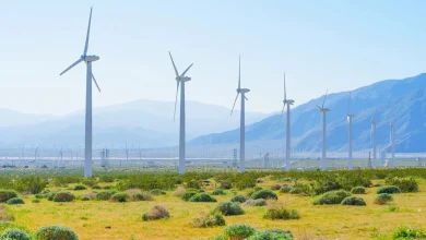 America's biggest wind farm pushed California to a wind record before it even opened