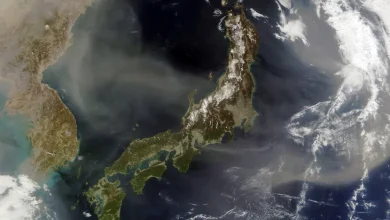 An earthquake hit Japan so hard it made the entire country move