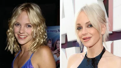 Anna Faris' 26-Year Transformation Stuns Fans After They Noticed Odd Details In Her Red Carpet Appearance