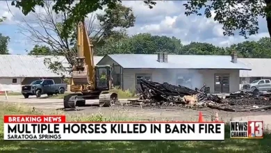 Approximately 17 horses killed in barn fire at Saratoga Harness Track