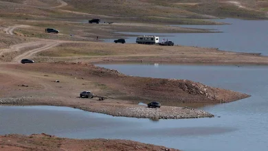 Arizona Lake Closes Indefinitely After Massive Fish Kill Wipes Out Nearly Entire Population