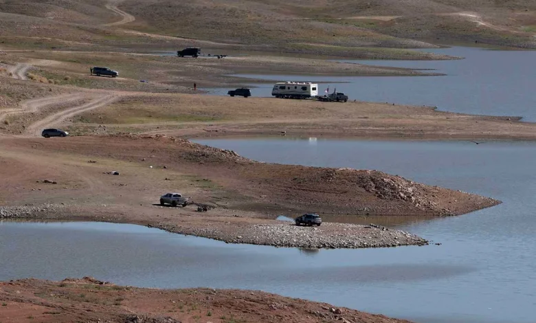 Arizona Lake Closes Indefinitely After Massive Fish Kill Wipes Out Nearly Entire Population