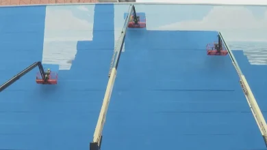 Artist sues for $25 million after Dallas whale mural painted over for World Cup