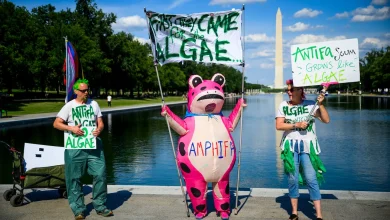 At the Reflecting Pool, these protesters speak for the algae - The Washington Post