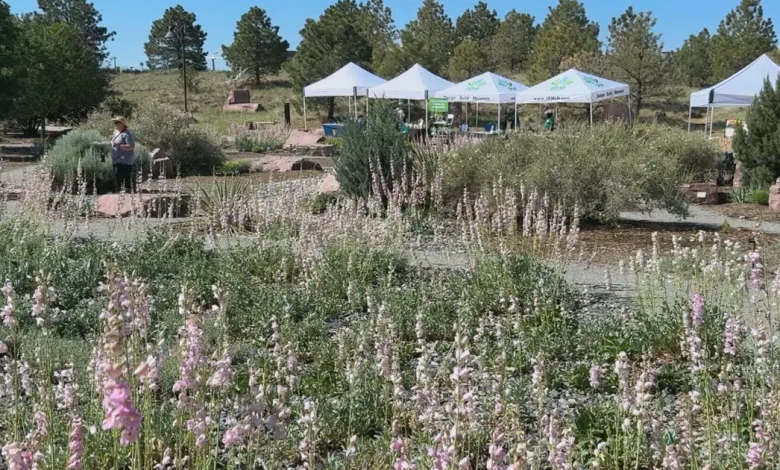 Aurora water-wise program helps resident gardens flourish despite ongoing drought conditions