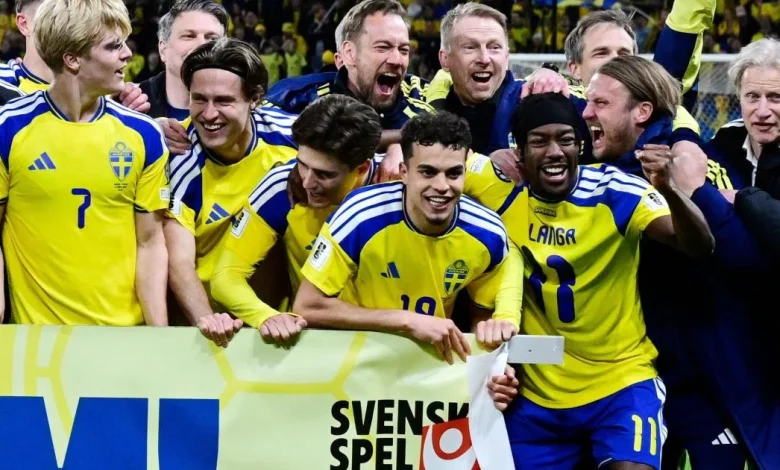 Ayari discusses Potter, Sweden, Tunisia and a family passion for the World Cup
